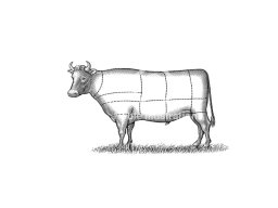 cow 6